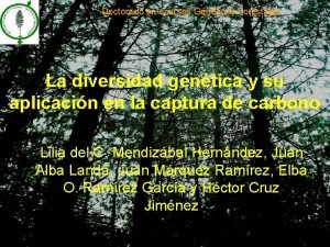 Doctorado en ecursos Genticos Forestales La diversidad gentica