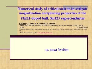 Numerical study of critical state to investigate magnetization