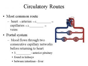 Coronary circulatory routes
