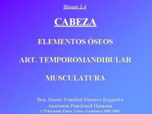 Bloque 2 4 CABEZA ELEMENTOS SEOS ART TEMPOROMANDIBULAR