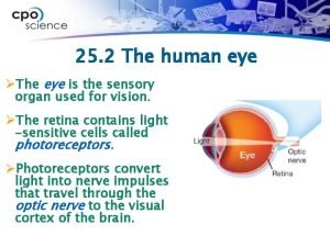 25 2 The human eye The eye is