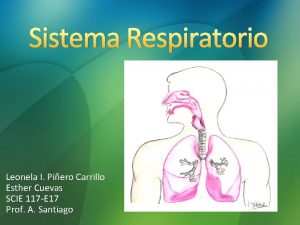 Sistema Respiratorio Leonela I Piero Carrillo Esther Cuevas