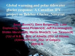 Global warming and polar tidewater glacier response A