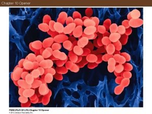 Chapter 10 Opener Figure 10 1 Metabolic Diseases