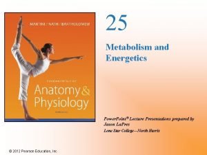 25 Metabolism and Energetics Power Point Lecture Presentations