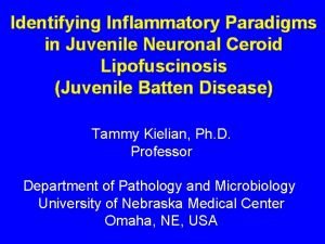 Identifying Inflammatory Paradigms in Juvenile Neuronal Ceroid Lipofuscinosis
