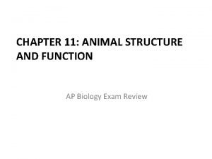 CHAPTER 11 ANIMAL STRUCTURE AND FUNCTION AP Biology