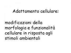 Adattamento cellulare modificazioni della morfologia e funzionalit cellulare