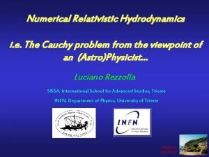 Numerical Relativistic Hydrodynamics i e The Cauchy problem