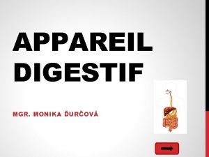 APPAREIL DIGESTIF MGR MONIKA UROV FONCTION Assure la