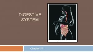 DIGESTIVE SYSTEM Chapter 15 Digestive System Functions 1