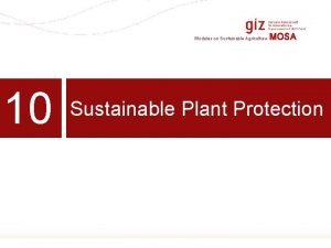 Modules on Sustainable Agriculture 10 MOSA Sustainable Plant