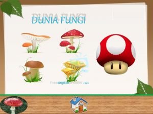 Peta konsep fungi lengkap