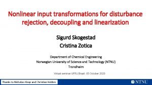 Nonlinear input transformations for disturbance rejection decoupling and