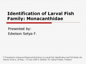 Identification of Larval Fish Family Monacanthidae Presented by