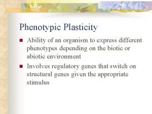 Phenotypic Plasticity n n Ability of an organism