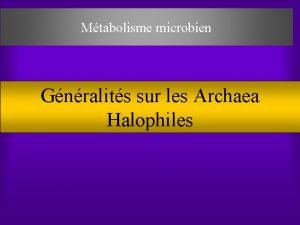 Mtabolisme microbien Gnralits sur les Archaea Halophiles Toute