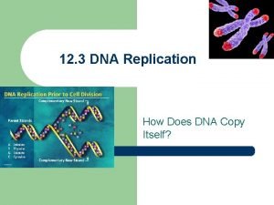 12 3 DNA Replication How Does DNA Copy