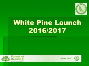 White Pine Launch 20162017 What is White Pine