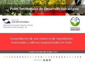 Polos Territoriales de Desarrollo Estratgico Ministerio de Economa