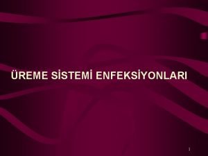 REME SSTEM ENFEKSYONLARI 1 reme sistemi btnln eitli