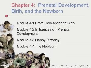 Chapter 4 Prenatal Development Birth and the Newborn