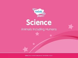 Science Animals Including Humans Year One Science Year