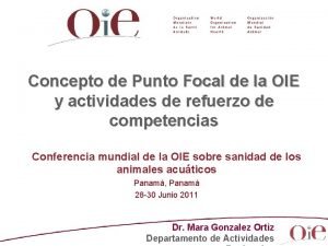 Definicion de punto focal