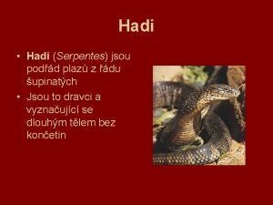 Hadi Hadi Serpentes jsou podd plaz z du Hadi Hadi Serpentes jsou podd plaz z du