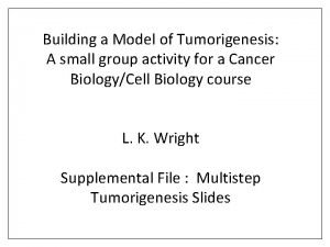 Building a Model of Tumorigenesis A small group