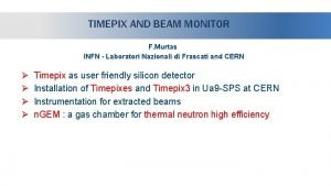 TIMEPIX AND BEAM MONITOR F Murtas INFN Laboratori