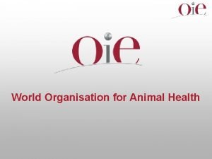 World Organisation for Animal Health Seminar on the