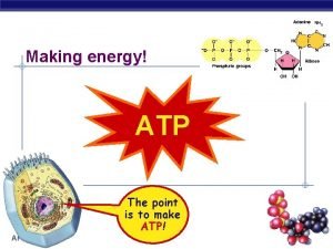 Making energy ATP The point is to make