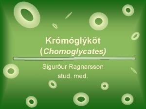Krmglkt Chomoglycates Sigurur Ragnarsson stud med Langtma mefer