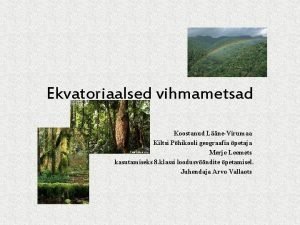 Ekvatoriaalsed vihmametsad Koostanud LneVirumaa Kiltsi Phikooli geograafia petaja