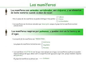 Extremidades superiores de las aves