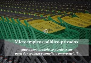 Microempleos pblicoprivados qu nuevo modelo se puede crear