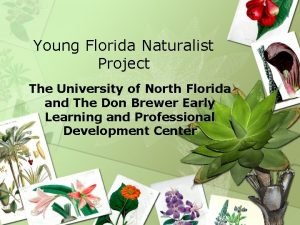Florida young naturalist