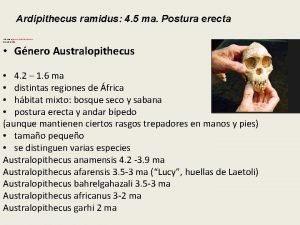 Genero ardipithecus caracteristicas