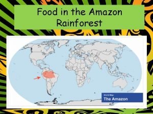 Amazon rainforest foods