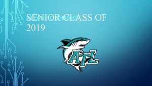 ATLANTIC SHARKS SENIOR CLASS OF 2019 GOLD TULIP