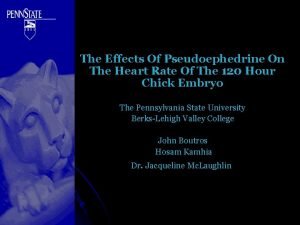 Pseudoephedrine heart rate