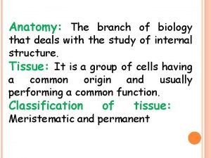 Type of cell