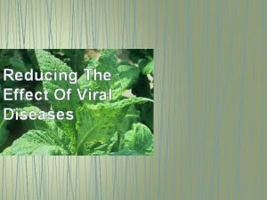 Reducing The Effect Of Viral Diseases Introduction Viral