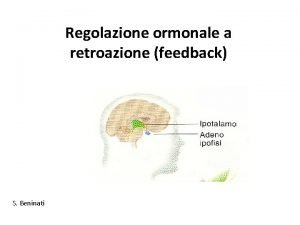 Regolazione ormonale a retroazione feedback S Beninati Feedback