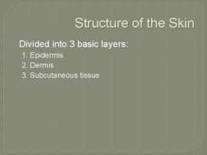 Skin composed of