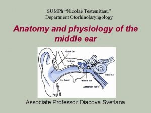 SUMPh Nicolae Testemitanu Department Otorhinolaryngology Anatomy and physiology