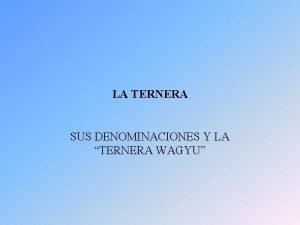 LA TERNERA SUS DENOMINACIONES Y LA TERNERA WAGYU