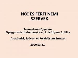 NI S FRFI NEMI SZERVEK Semmelweis Egyetem Gygyszersztudomnyi