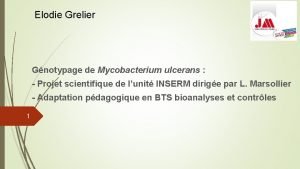 Elodie Grelier Gnotypage de Mycobacterium ulcerans Projet scientifique